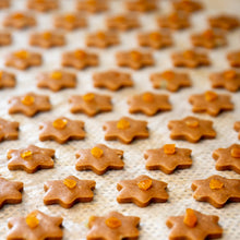 Load image into Gallery viewer, Traditional Lebkuchen &#39;honey cake&#39; cookies with aranzini &#39;dried and candied orange peel&#39;. Metzger Lebkuchen is Viennese gingerbread with a soft texture and subtle taste. The aranzini gives our Lebkuchen a special orange note with added sweetness. Each piece is finished with almonds or hazelnuts and a candied sugar coating. Aranzini Lebkuchen goes particularly well with a hot cup of tea, dry wine or even whisky. It&#39;s a true Viennese staple at the Christmas table.